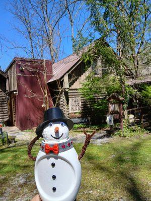 Snowman visits Wild Plum Tea Room