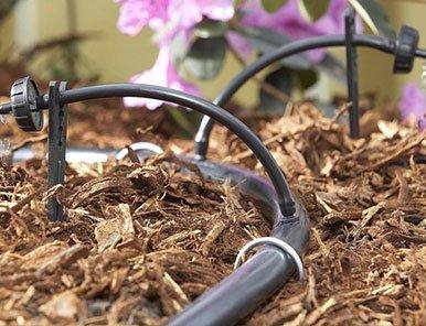 Drip irrigation system