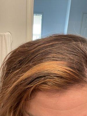 BRONZE! COPPER! whatever you want to call it...it's not blonde