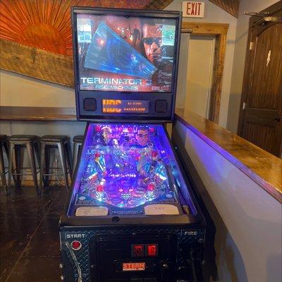 Terminator pinball