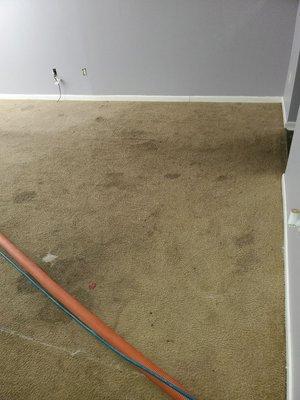 This is an Commerical account in which the carpet is filthy.