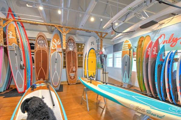 Original Paddle Boards