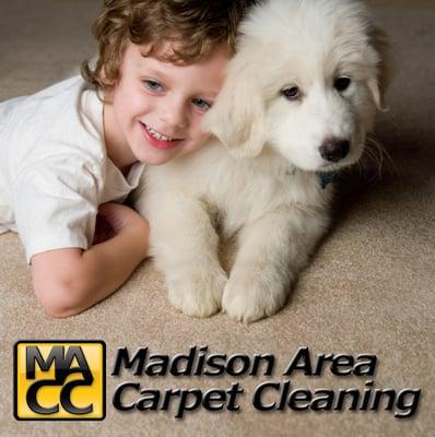 Madison Area Carpet Cleaning