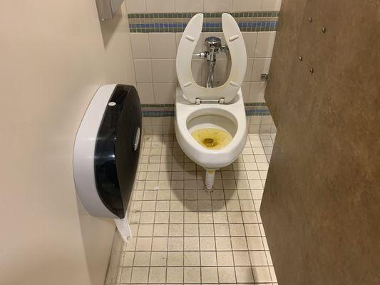 Urine every where