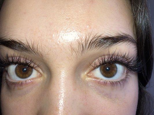 After Lashes