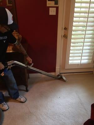 Carpet cleaning