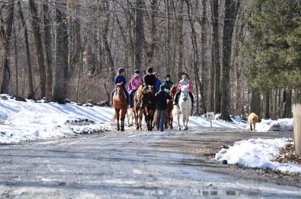 My Saddle Brook Farm