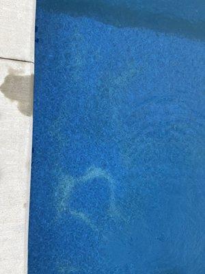 Pictures of all of the spots where we had shock burns from the 1lb shock that was bought at the pool center.