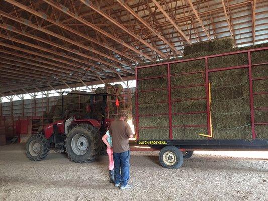 Hay delivery! Second cutting from my neighbor