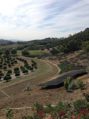 Tomasetta Residence, Ojai, CA