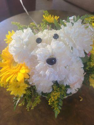 I love this so much and the bandaid to add to the adorable puppy of clever carnations.  My heart is full!