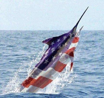 Florida and the American  Flag all in one. This picture says everything.