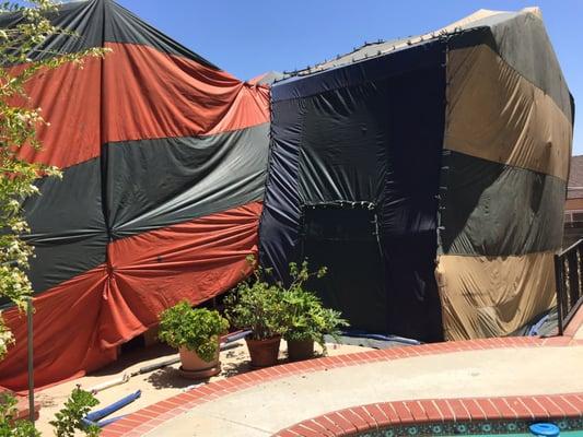 Fumigation tenting - they took good care of my plants that were growing close to the house too.