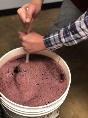 Making our own wine