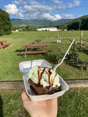 After Dinner Mint Sundae with Brownie!