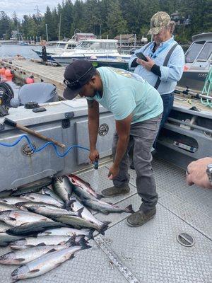 Captain Carlo hoses off the daily catch of pink salmon on August 22, 2024.