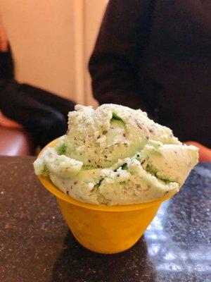 Mint chocolate chip gelato