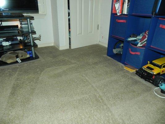 Advantage Carpet Cleaning