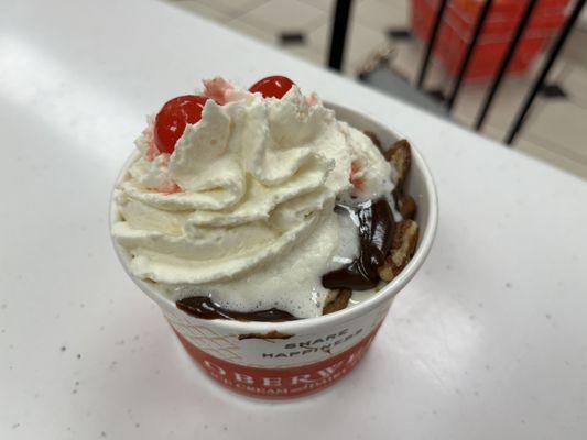 Turtle sundae. Delish! Love Oberweis.