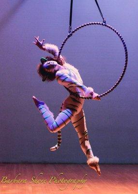 Host Of Sparrows Aerial Dance & Circus Arts