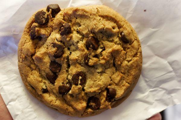 Chocolate chip cookie