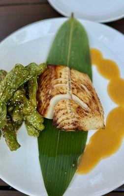 Miso Black Cod