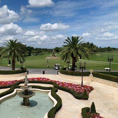 View from the outdoor dining area