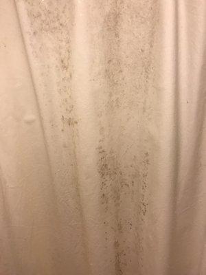 Motel6.... more like motel hell. Thoroughly disgusting. Room smelled like BO and the shower liner was completely covered in mold.