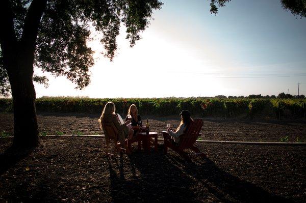 Relax with a vineyard view.