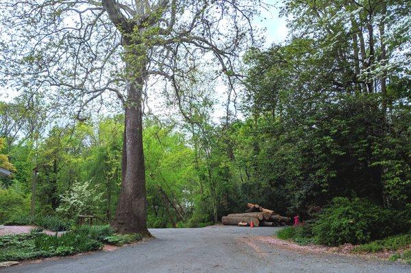 Brinton House Conference Center -- view from end of the driveway (very secluded)