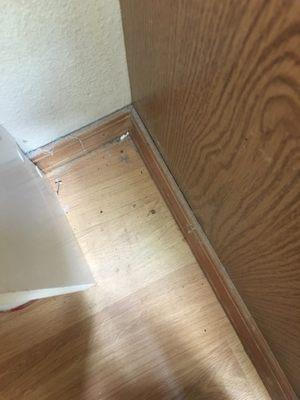 Corner in bathroom completely ignored.