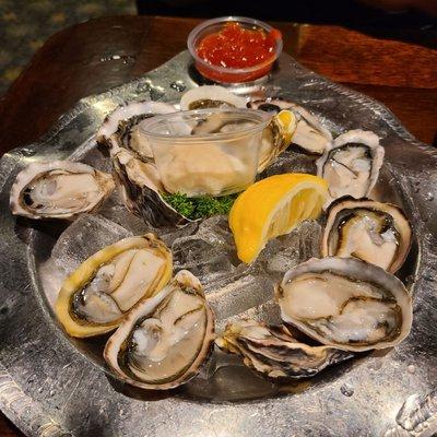 12 oysters