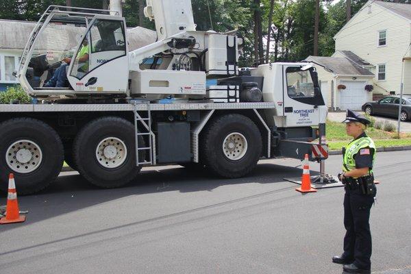 Safe Tree Work with Police Detail when needed