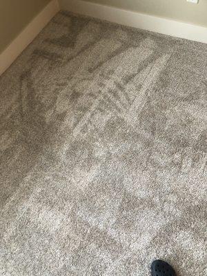 Clean carpet