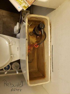 Toilet Rebuild After