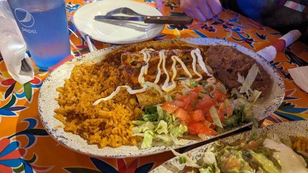 Enchilada with shredded beef