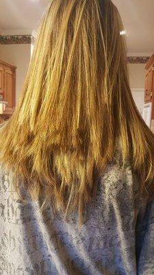 Do not let the male stylist at this great clips do layers! This is what my daughter came home with today.