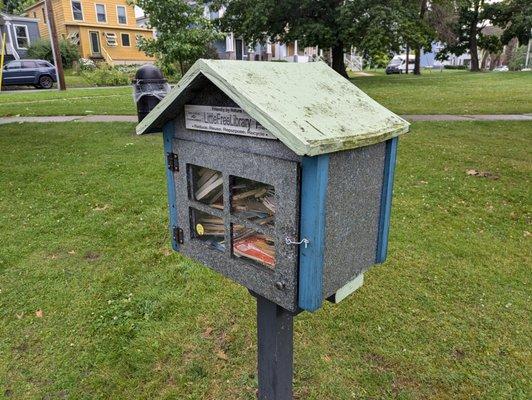 Little Free Library 1746, Oswego