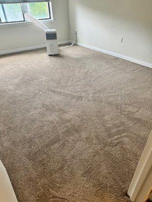 This is the carpet that they are charging me $909 to replace. Unbelievable.