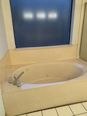 Before - jacuzzi tub (AKA dust collector)