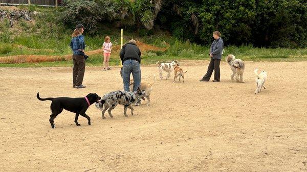 Power Lines Dog Park