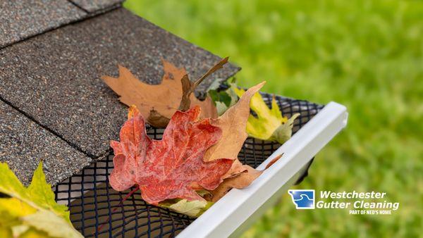 Fall gutter leaves cleaning