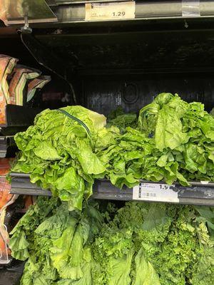 Wilted lettuce at Winn Dixie again. All the onions were soft and rotten as well. Disgusting