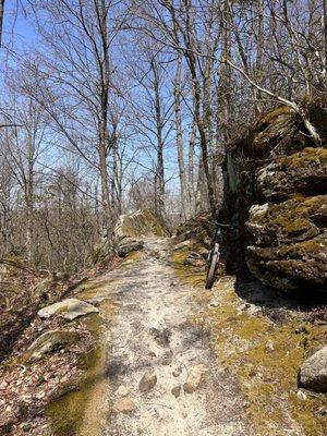 Trails at Jakes Rocks. Specialized Stumpjumper comp ordered to, built by, and tuned by THICK.