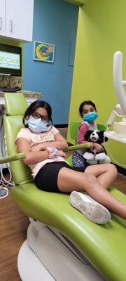 Yearly Dental Check Up