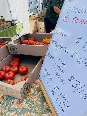 Tomato stand