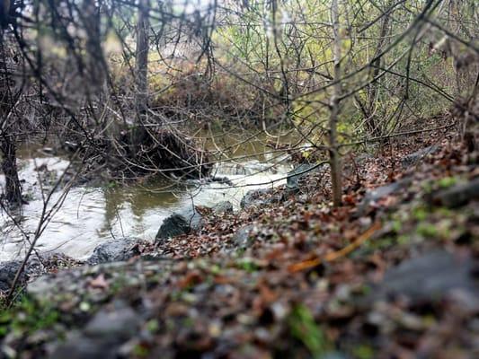 Guadalupe Creek Trail