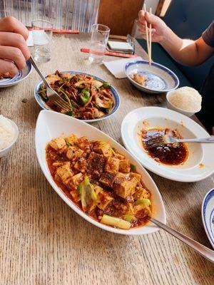 Spicy Cumin Lamb (far out - recommend!!) and Mapo Tofu (near)