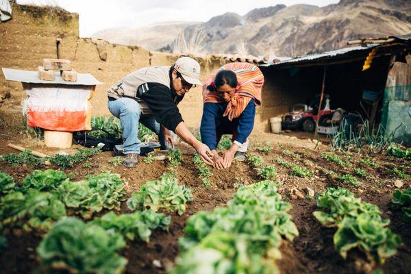 FH trains farmers in best practices for agricultural success, so that they can feed their families and sell the excess for income