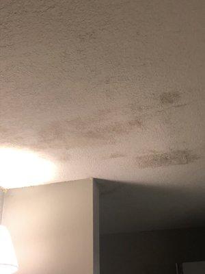 Even more mold and mildew